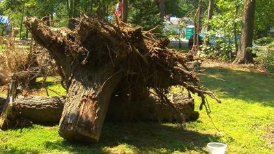 Neighbors Ask Queen Anne's County for More Help With Cleanup