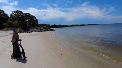 cove road beach
