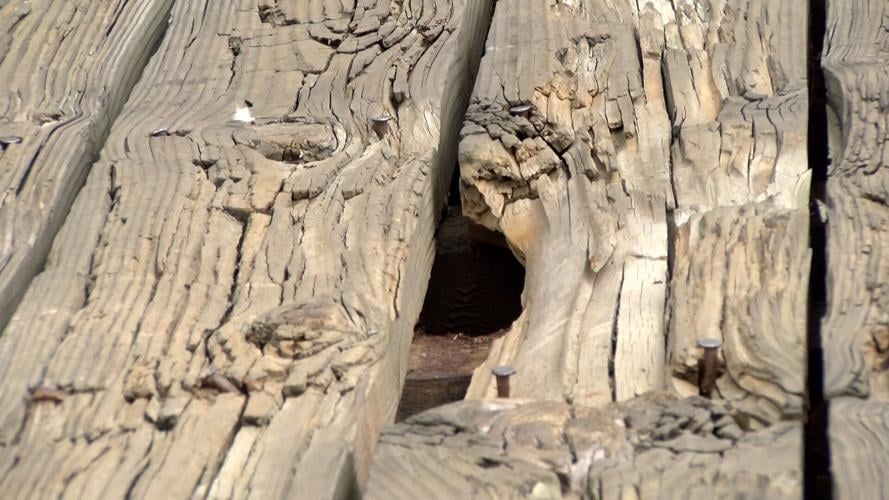 Leeds Creek Bridge In Talbot County To Be Replaced