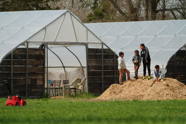 Climate Farm Bill Indigenous