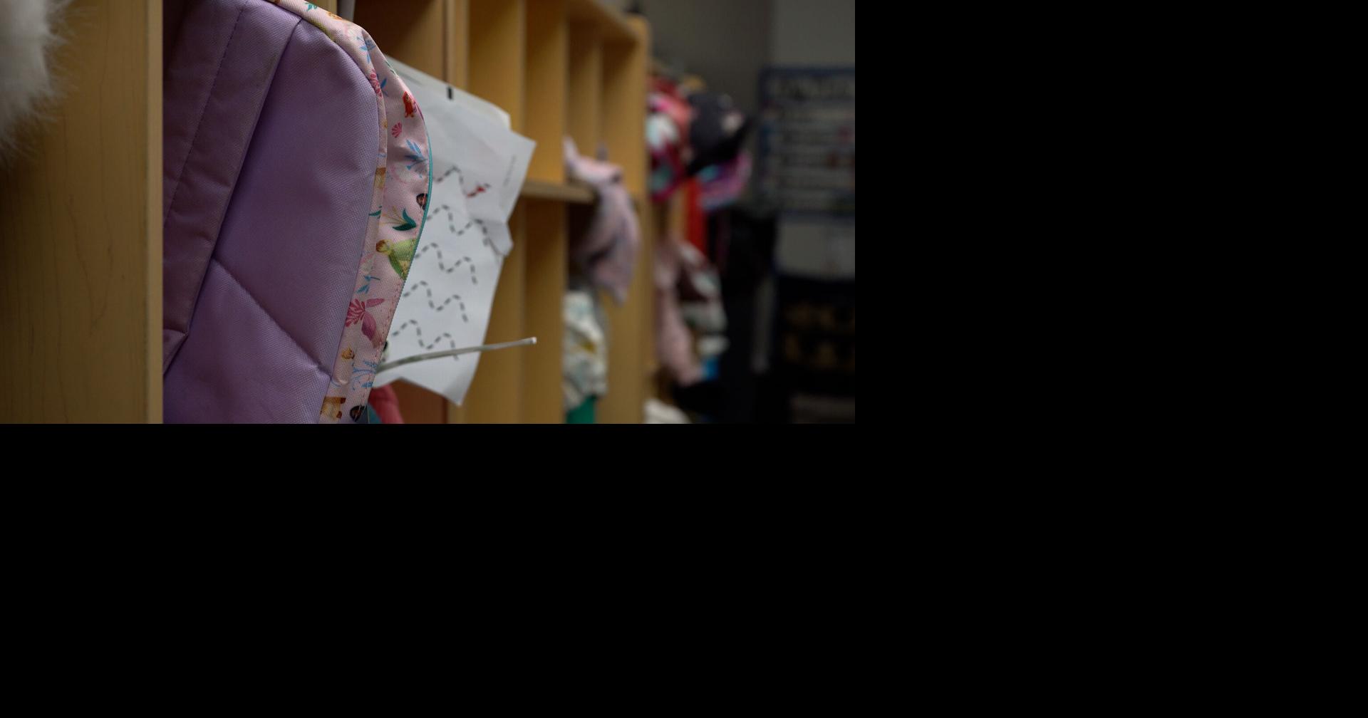 Proposed steps toward universal pre-K in Delaware raise alarms with Sussex Co. preschools | Latest News