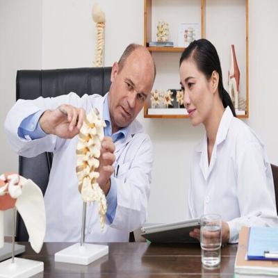 Peak Chiropractic: North Plains' Reliable Chiropractors