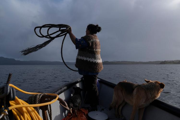 Chile Salmon Farms