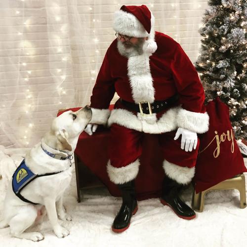 Josiah, the facility dog and Santa at the CRICKET Center, Worcester County's child advocacy center.