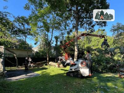 García Tree Removal Service Highlights Affordable Arborist Options for Bay Shore Properties