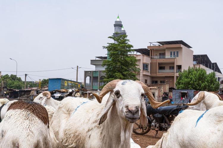 Mali Eid