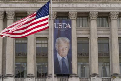 Trump Banner