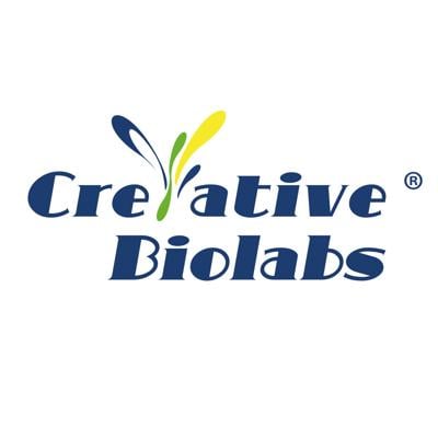 Creative Biolabs Advances circRNA Research from Analysis to Delivery