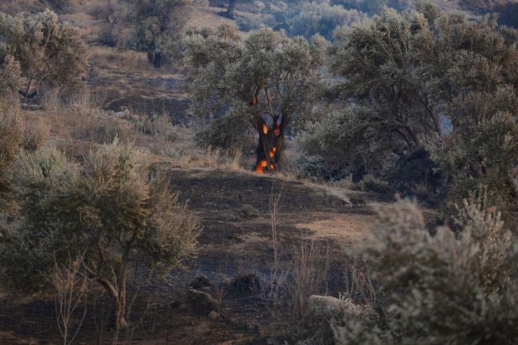Greece Wildfire