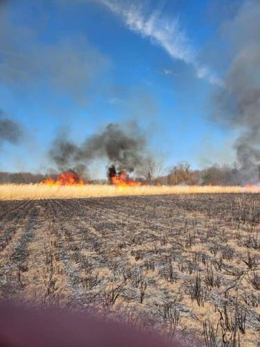 Georgetown Field Fire
