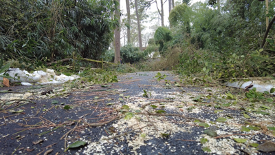 Salisbury Zoo after storm
