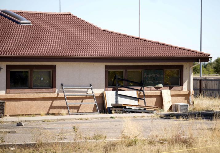 Decomposing Bodies Plea