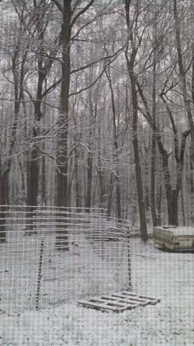 Lydia Regan Pickering Beach Dover Del