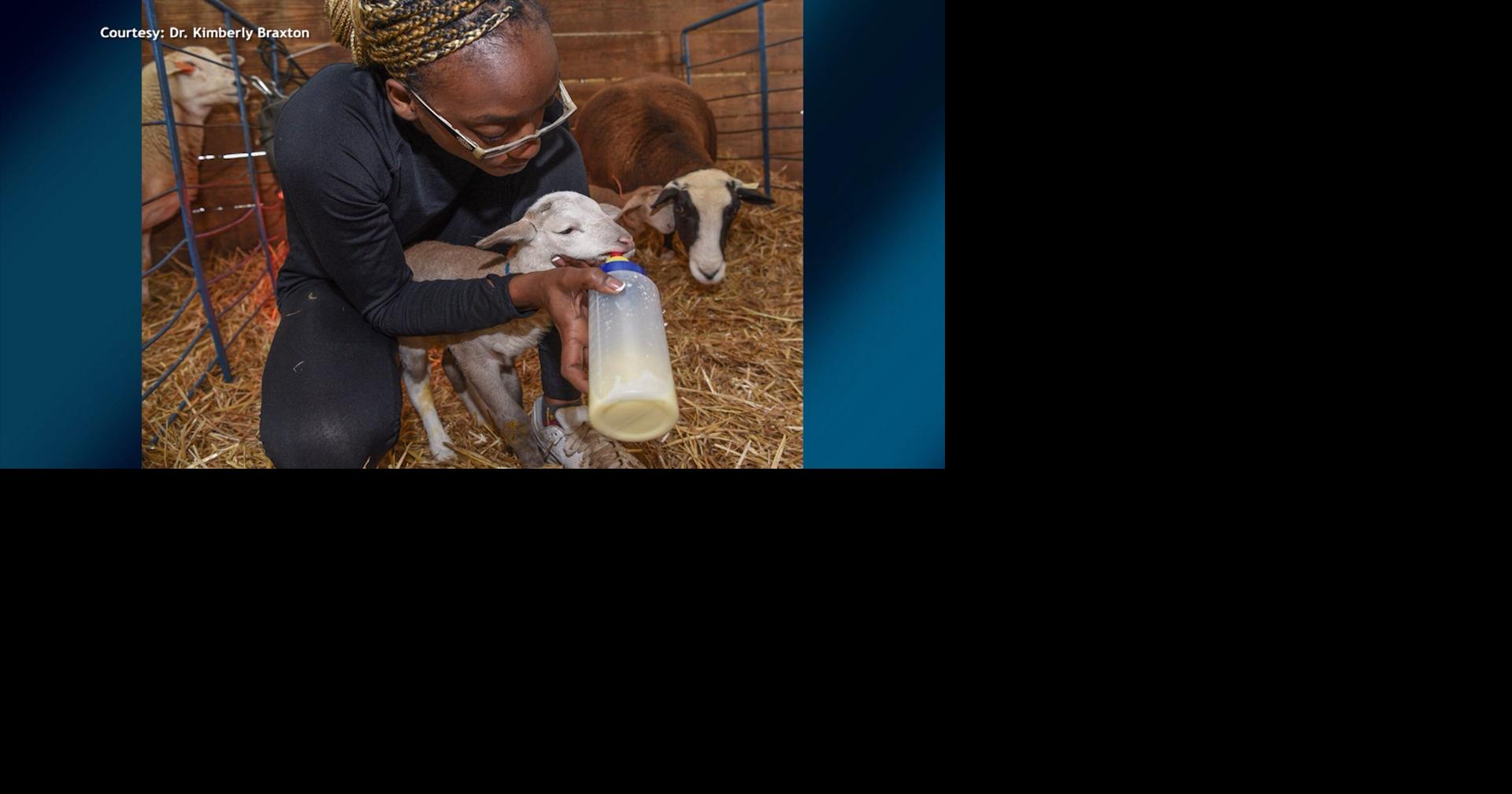 We Learn About A Unique New Veterinary Program At UMES | Delmarvalife ...