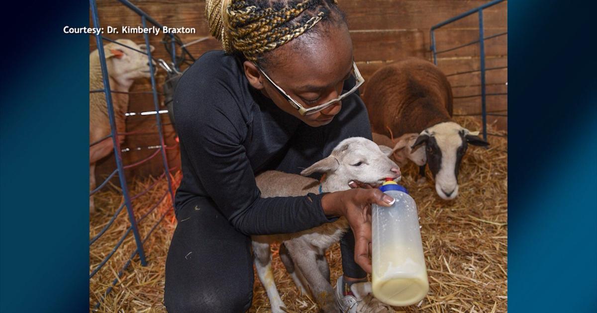 Edeee We Learn About A Unique New Veterinary Program At UMES | Delmarvalife ...