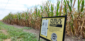 Kent County Approves Solar Farm Project Amid Resident Concerns