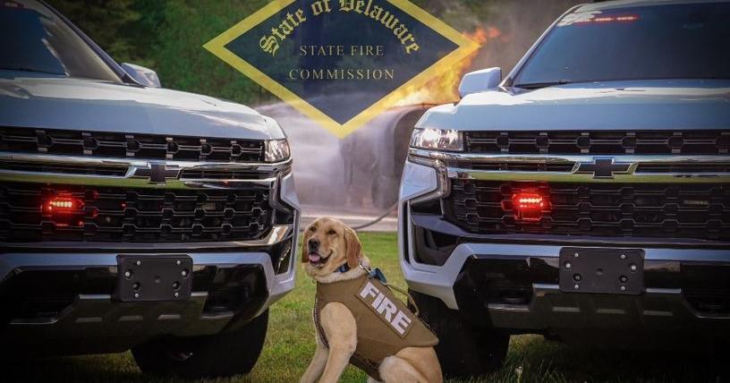 Delaware State Fire Commission's K9 Ajax Gifted Armor | Latest News - Vimarsana News