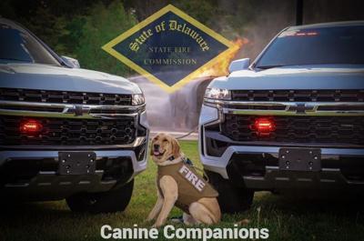 Delaware State Fire Commission’s K9 Ajax Gifted Armor