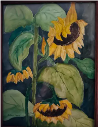 Barbara Allan Hager