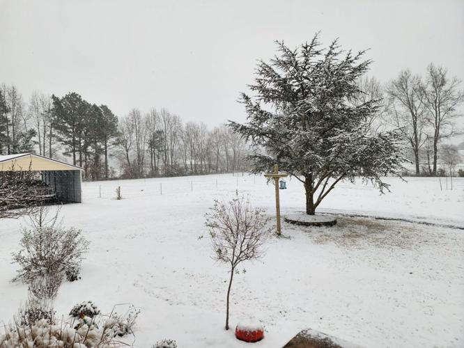 Pam Higdon Delmar DE.jpg