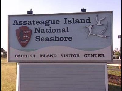 Assateague Island National Seashore announces park