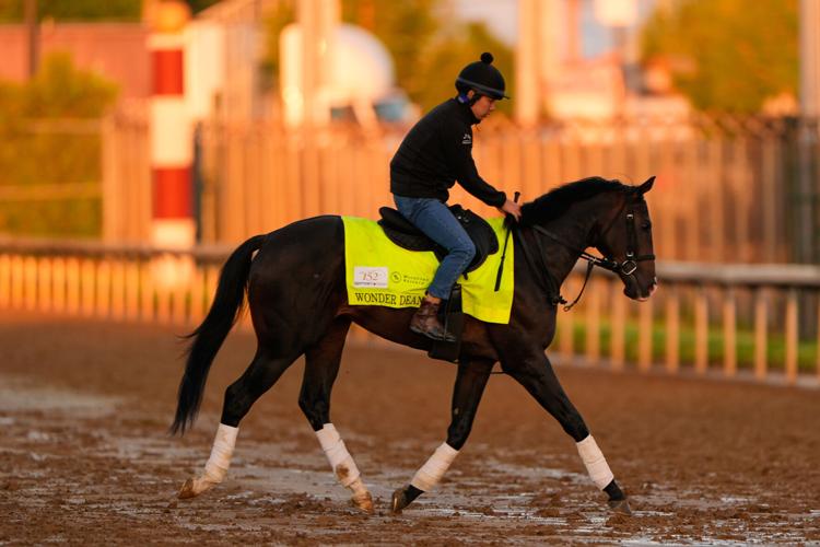 Kentucky Derby Japanese Racing