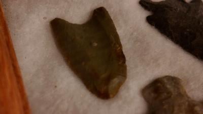 mammoth blood