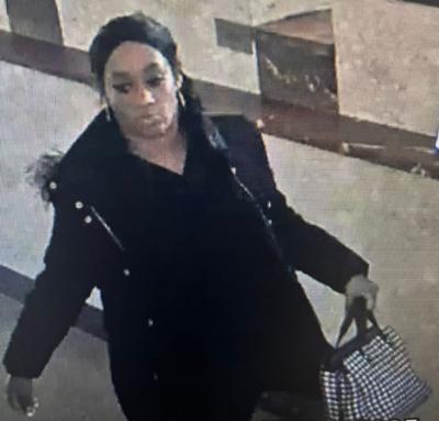 Ocean City Check Fraud Suspect