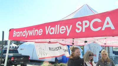 Brandywine Valley SPCA