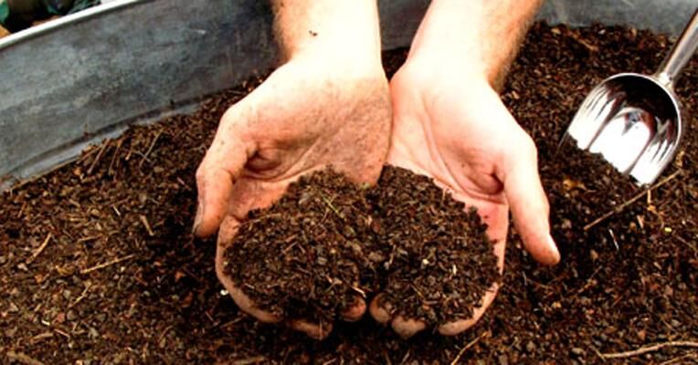 Going Green: How to Compost