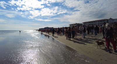 Bethany Beach Hair of The Dog