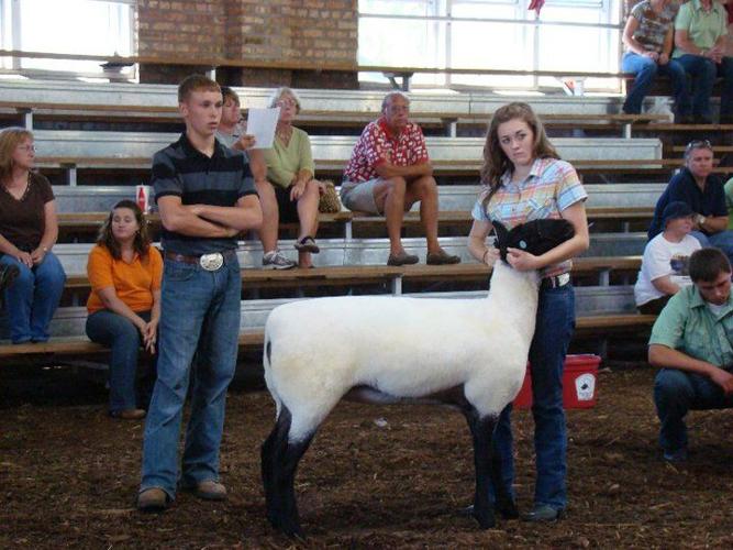 lamb