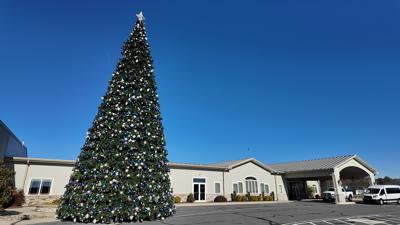 Colossal Christmas Tree