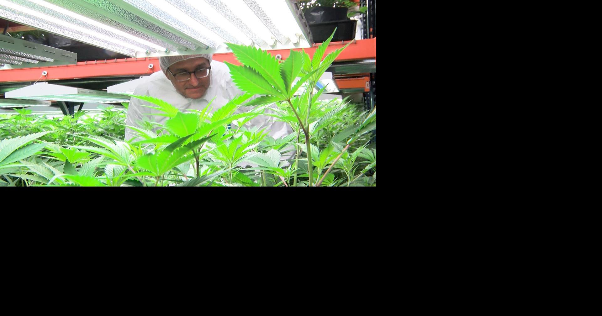 Meyer Tours Milford Cannabis Facility Ahead of Adult-Use Market Launch