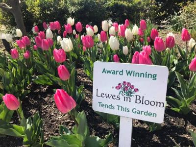 92031050_10159766878927576_8191041535903531008_n