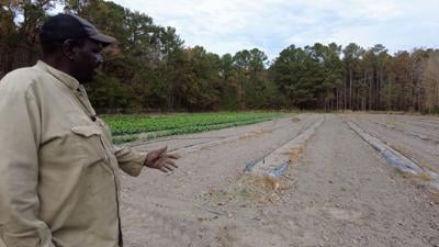 Somerset County Farmer