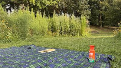 Make the most of summer: How area repellents and a few simple habits can help keep mosquitoes from ruining the moment