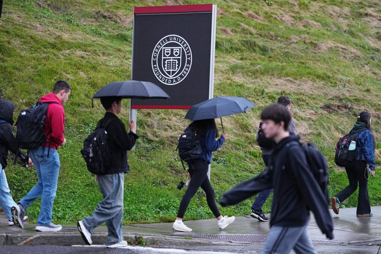 Cornell Investigation
