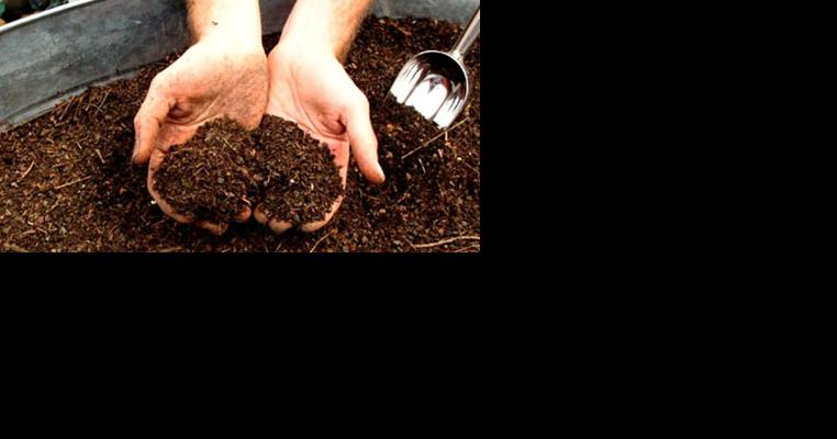 Discounted Compost Bins Available to Delaware Residents Through State-Initiated Program - Vimarsana News