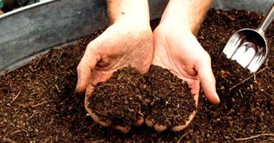 Composting