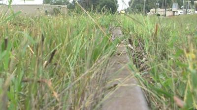 An unused rail road track in Dorchester County
