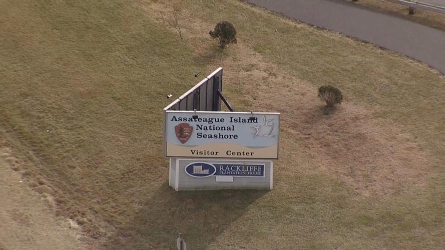 Government shutdown impacts Assateague Island National Seashore