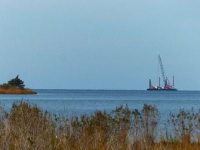 Barren Island Restoration Project
