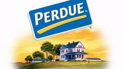 Perdue Logo