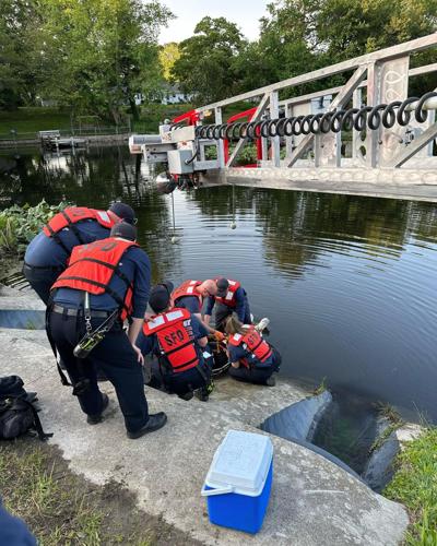 Man Saved From Coulbourn Mill Pond After Seizure