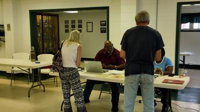 august voting va