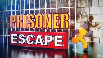 Prisoner Escape Generic
