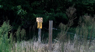 Delaware implements emergency deer hunting regulations amid CWD concerns
