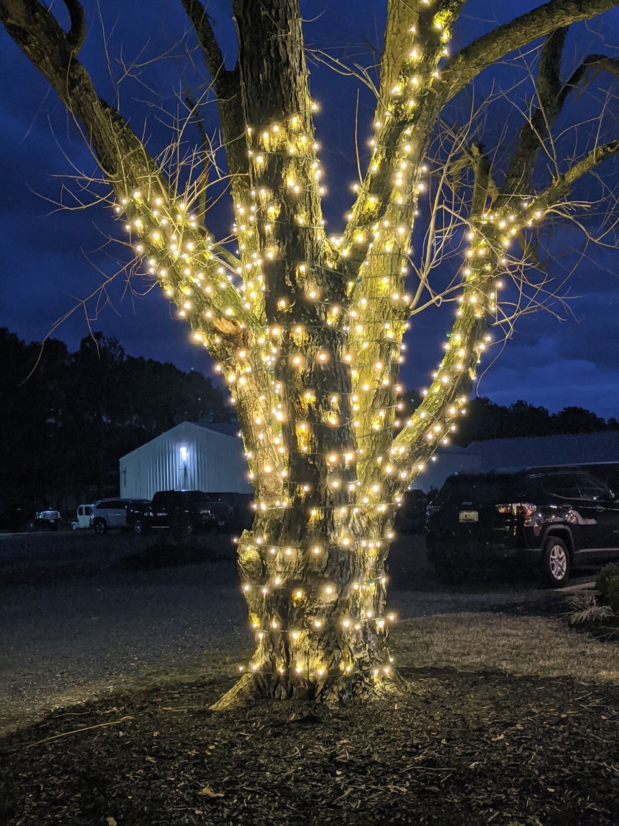 84796496_855928174862598_8525382032405037056_o