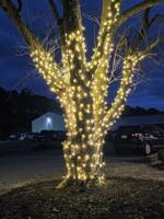 84796496_855928174862598_8525382032405037056_o